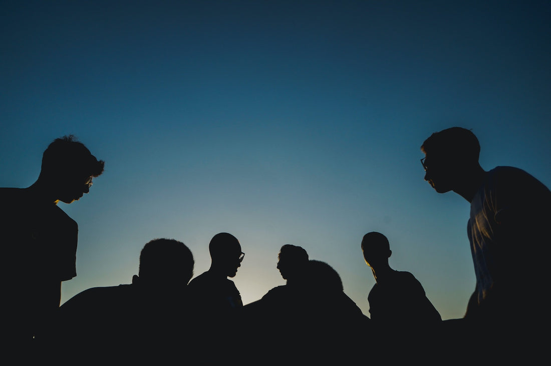 Meet the Team
